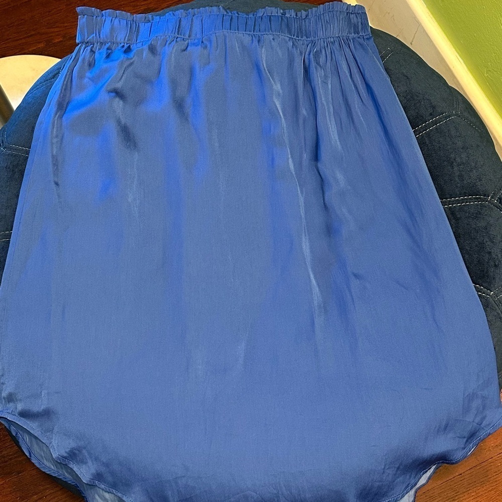 Blue Women's Skirt